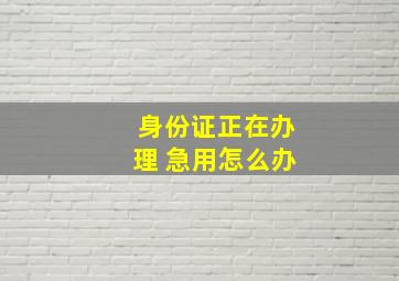 身份证正在办理 急用怎么办